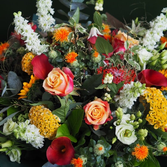 Seasonal Bouquet | Hedge Rose