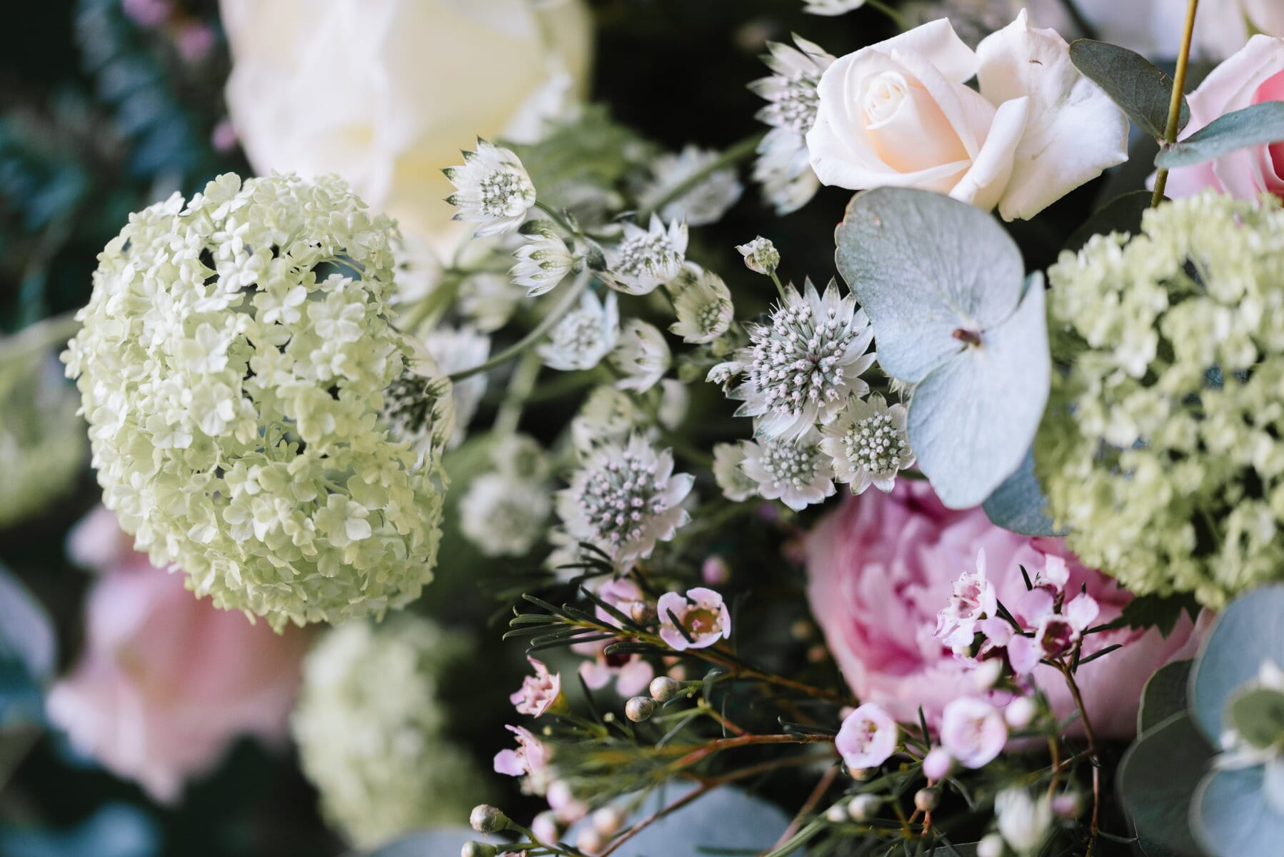 Chichester Wedding Flowers Hedge Rose